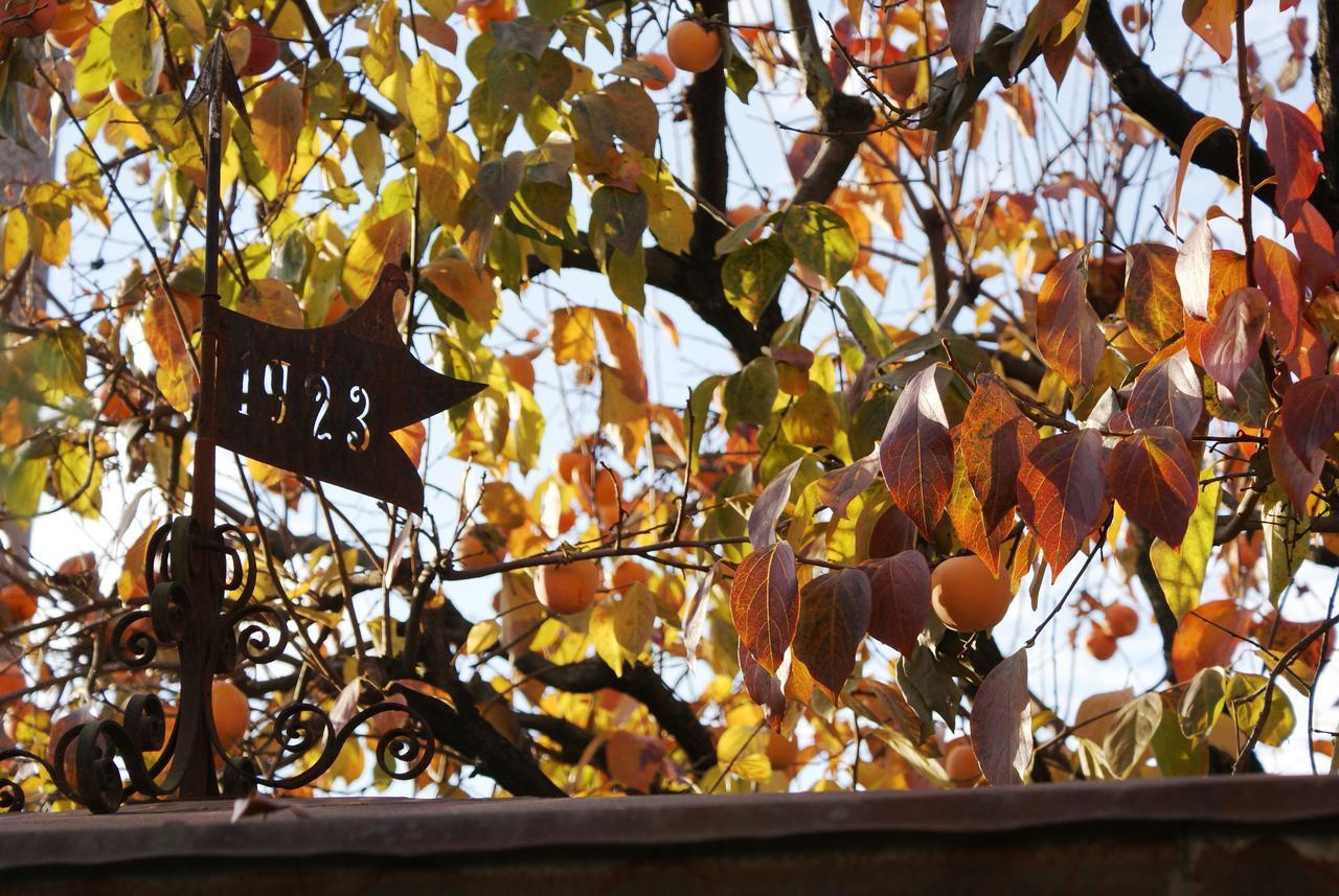 B&B Nella Terra Di Mezzo Caporiacco Exterior photo